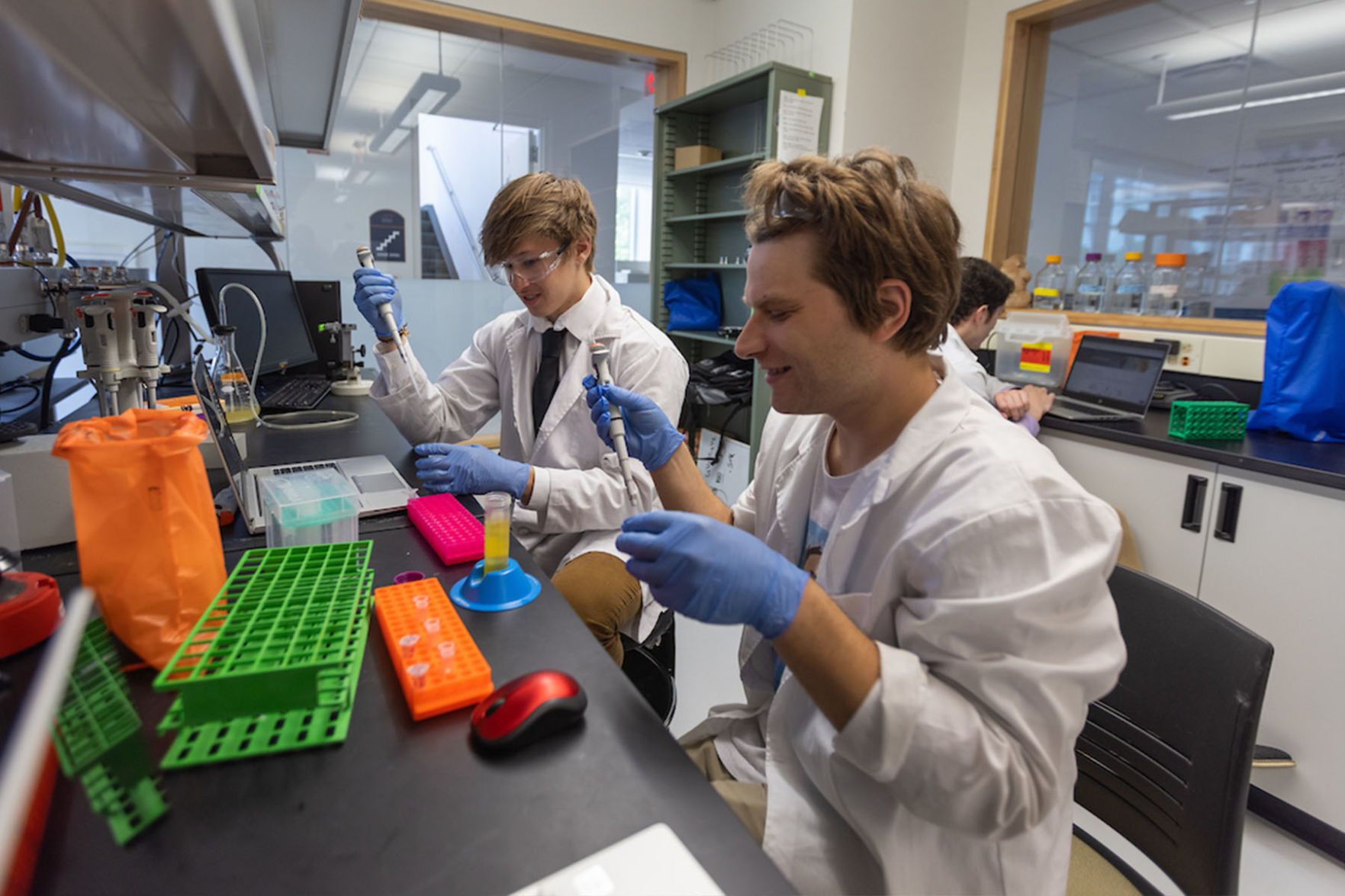 E. coli extraction